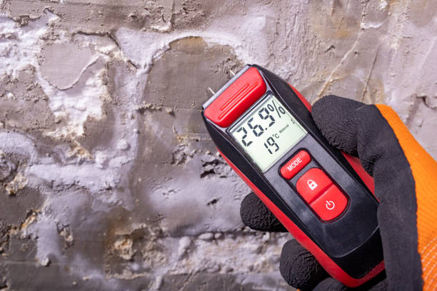 Best Attic Mold Remediation in North Tonawanda, NY