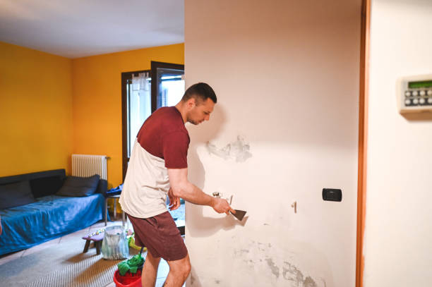 Best Commercial Mold Remediation in North Tonawanda, NY